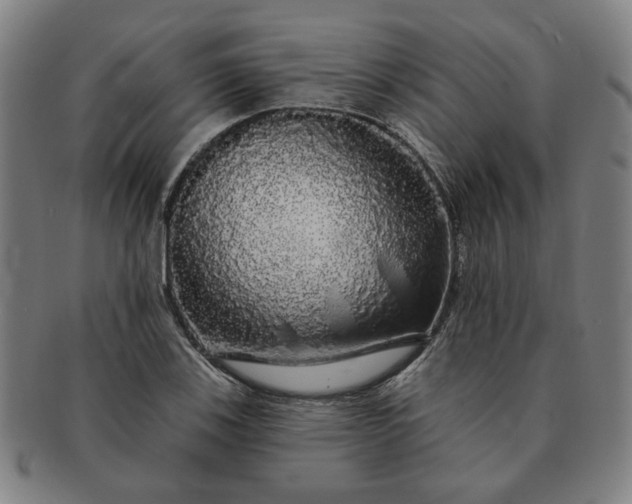 X0000091191123200708231502