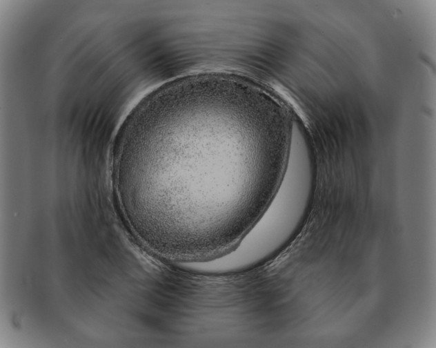 X0000091191124200708231502