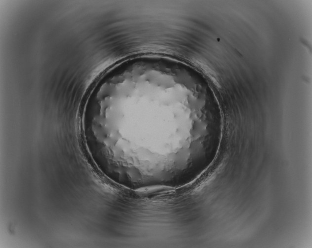 X0000091191125200708231502