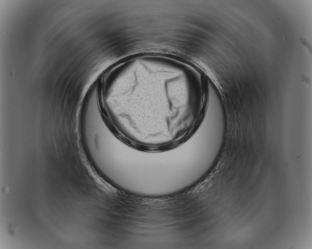 X0000091191128200708231502