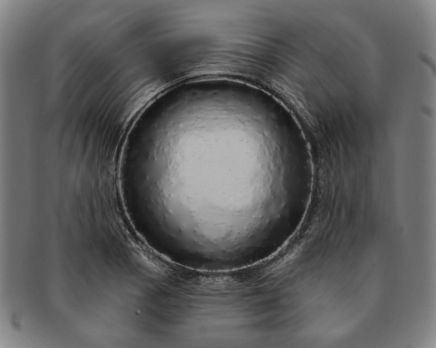 X0000091191129200708231502