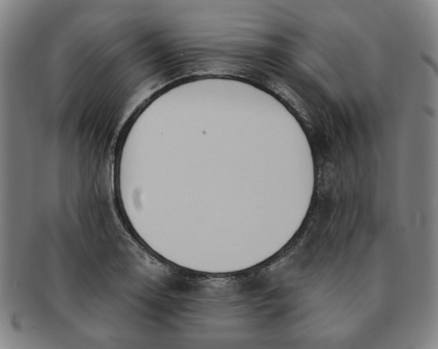 X0000091191130200708231503