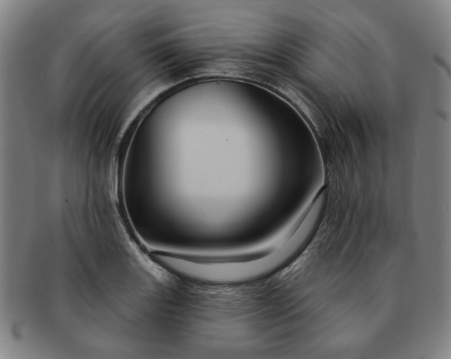 X0000091191131200708231503