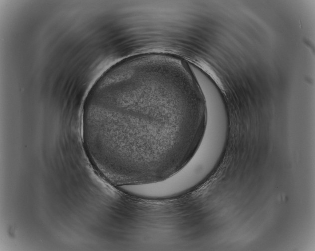 X0000091191132200708231503