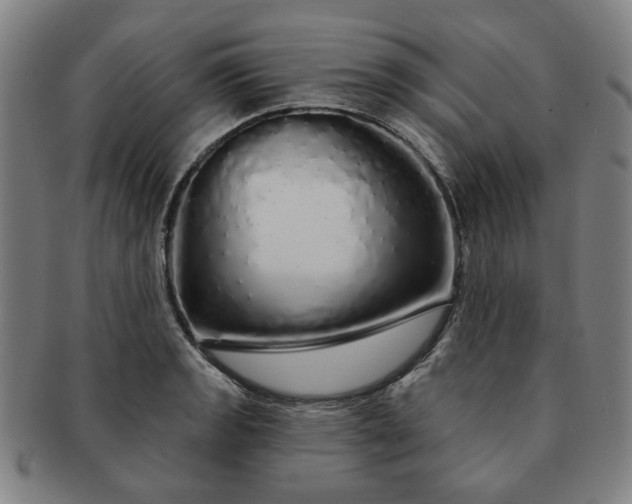 X0000091191133200708231503