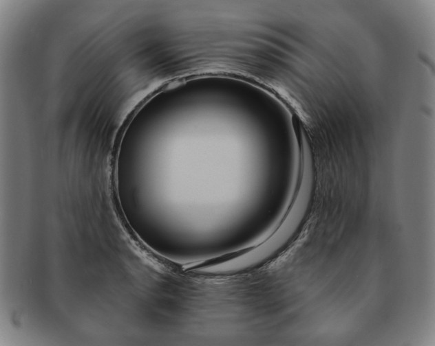 X0000091191134200708231503