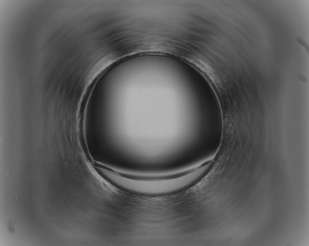 X0000091191135200708231503