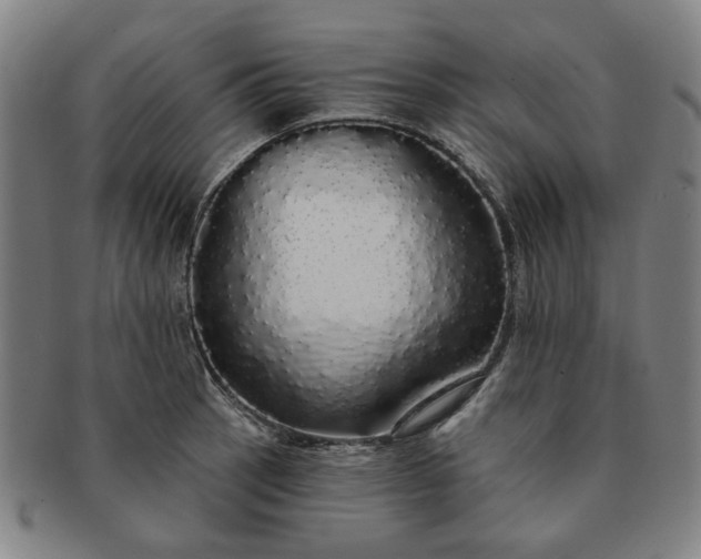 X0000091191137200708231503