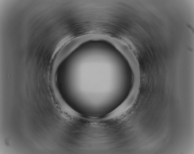 X0000091191138200708231503