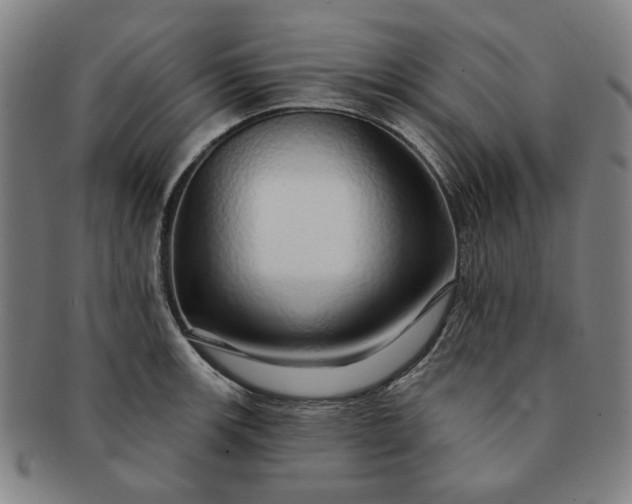 X0000091191139200708231503