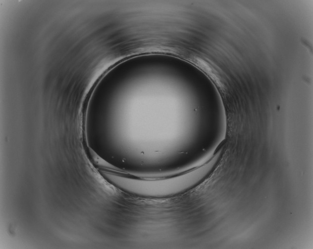 X0000091191140200708231503