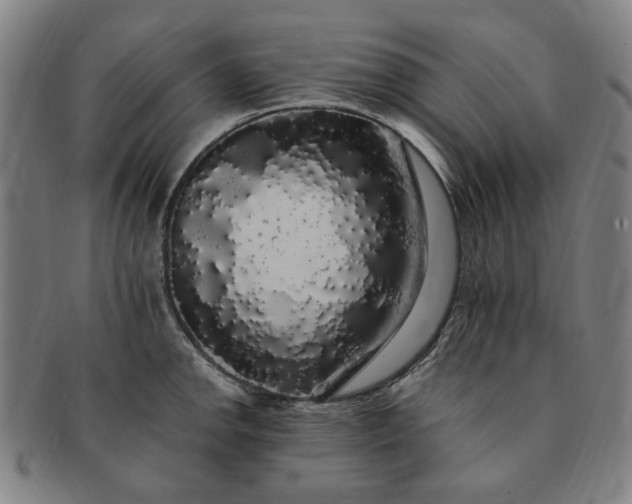 X0000091191142200708231503