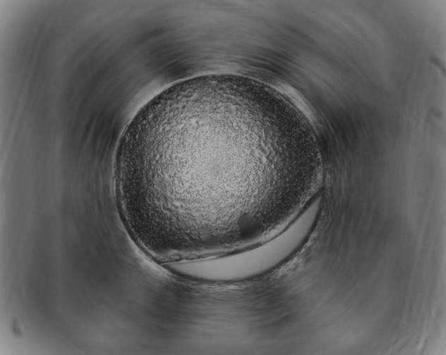 X0000091191143200708231503