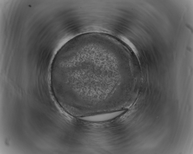 X0000091191144200708231503