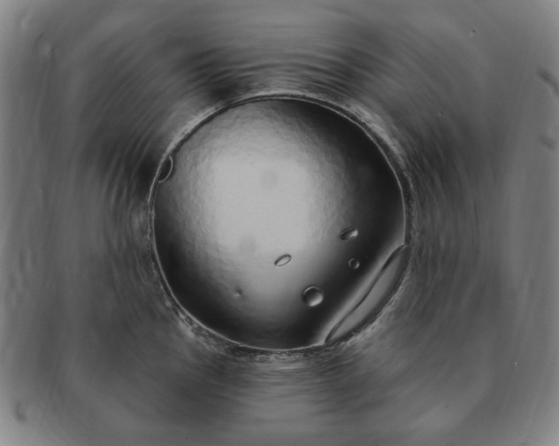 X0000091191145200708231503