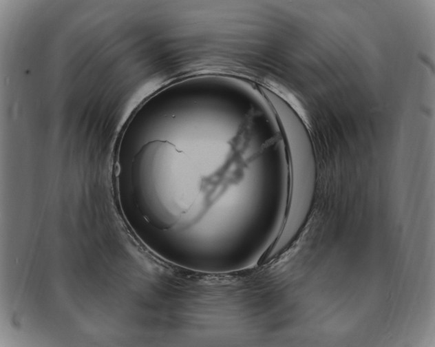 X0000091191146200708231503