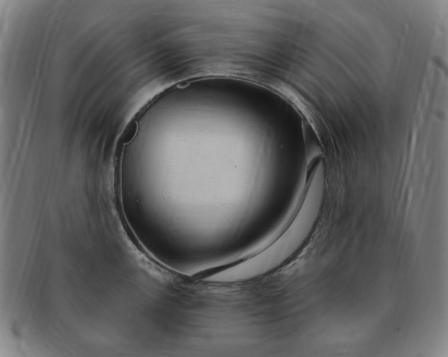 X0000091191147200708231503