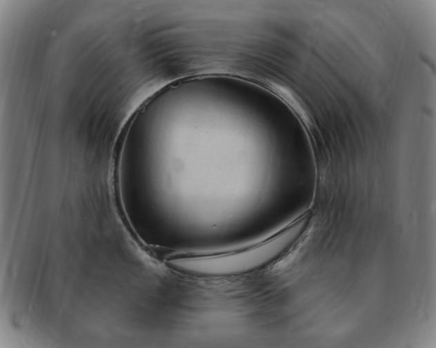 X0000091191149200708231503