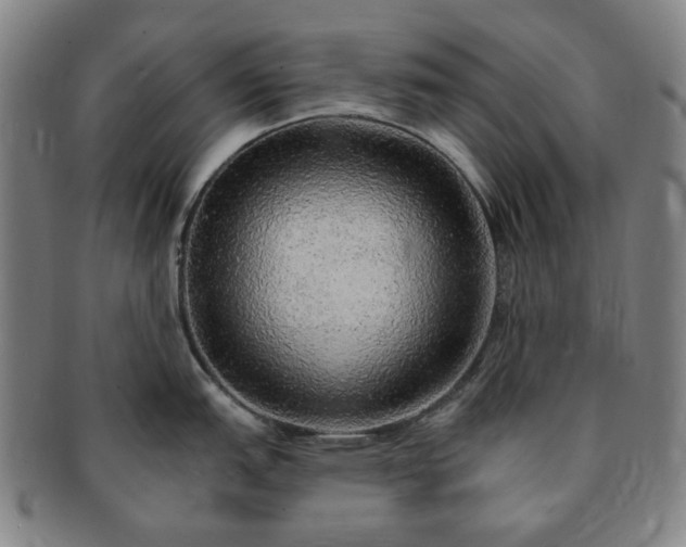 X0000091191151200708231503