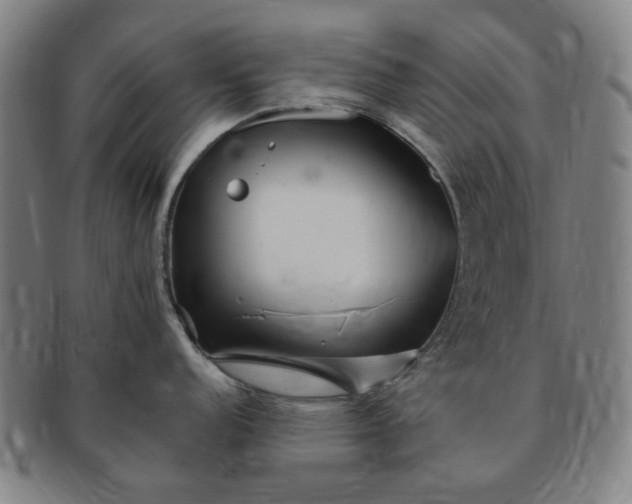 X0000091191152200708231503