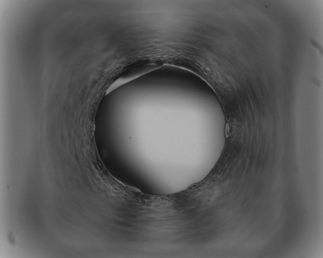 X0000091191153200708231502