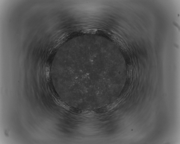 X0000091191154200708231502