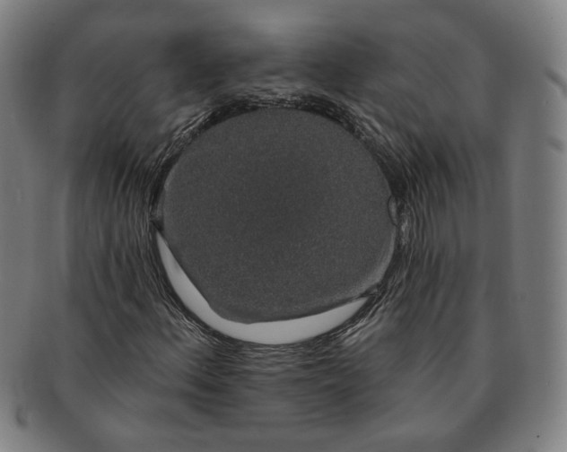 X0000091191156200708231502