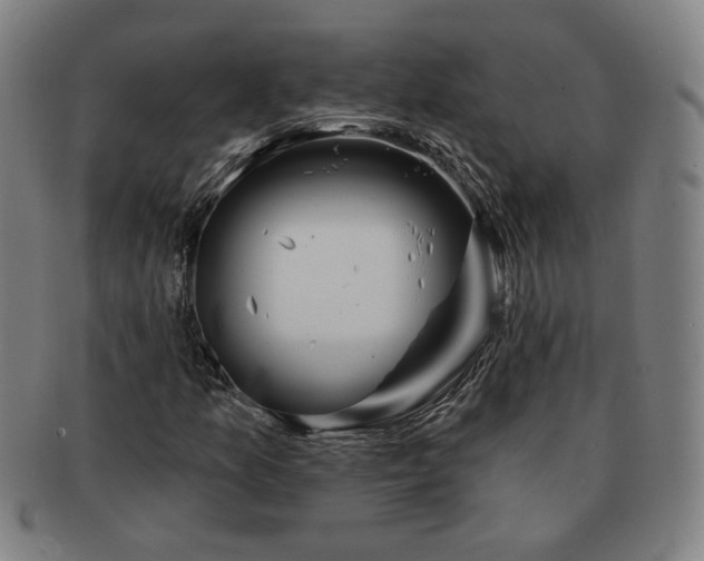 X0000091191157200708231502