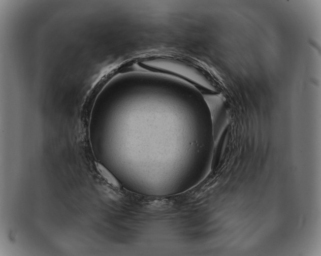 X0000091191160200708231502