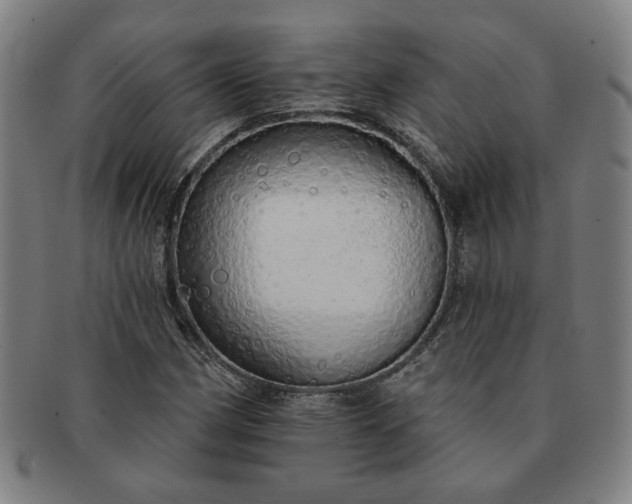 X0000091191162200708231502