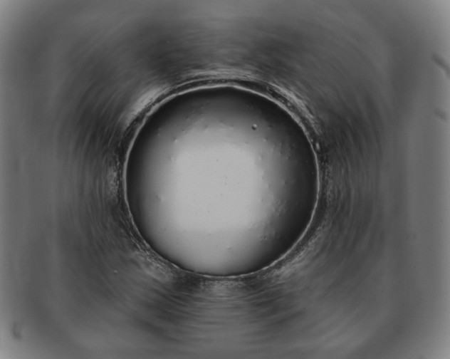 X0000091191163200708231502