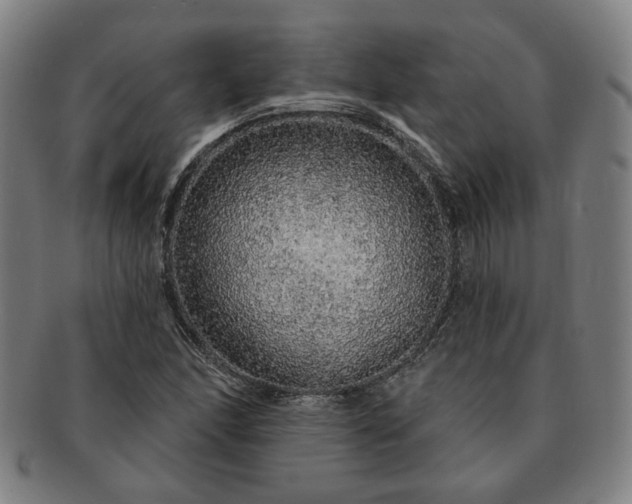 X0000091191166200708231502