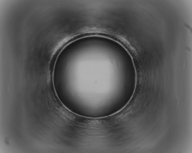 X0000091191167200708231502