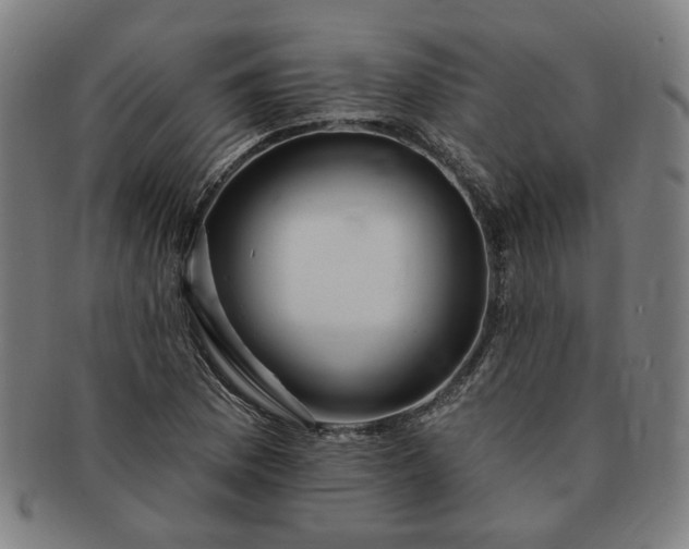 X0000091191169200708231502