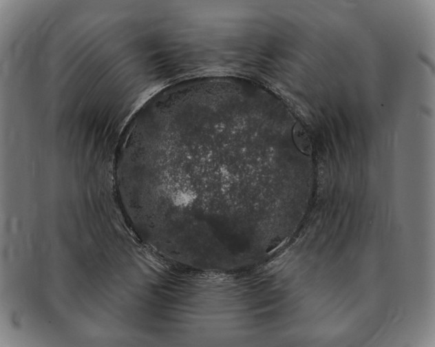 X0000091191170200708231502