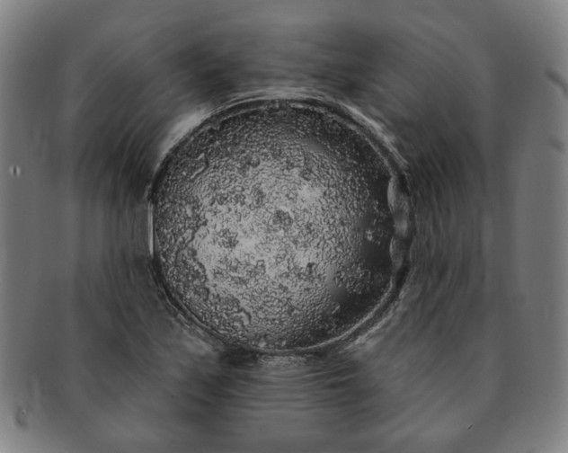 X0000091191171200708231502