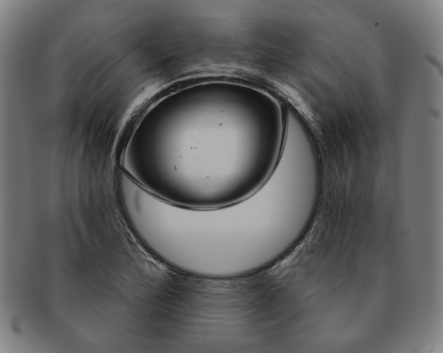 X0000091191172200708231502