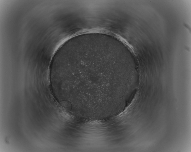 X0000091191174200708231502