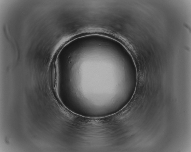 X0000091191175200708231502