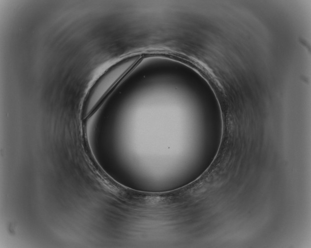 X0000091191176200708231502