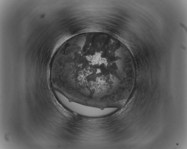 X0000091191179200708231502