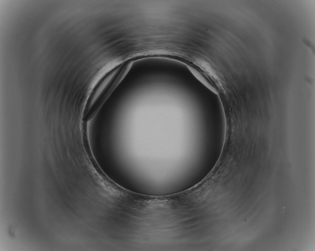 X0000091191181200708231502