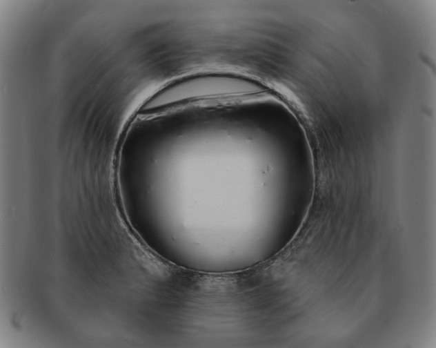 X0000091191183200708231502