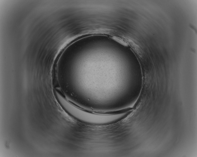 X0000091191184200708231502