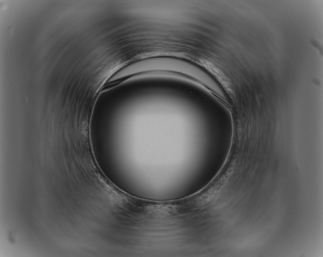 X0000091191185200708231502