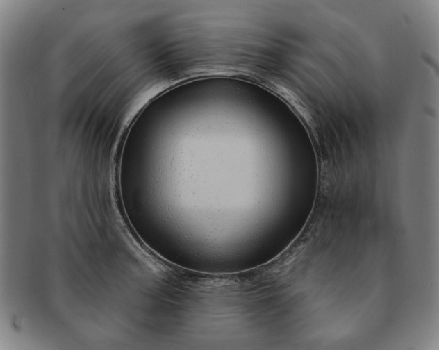 X0000091191187200708231502