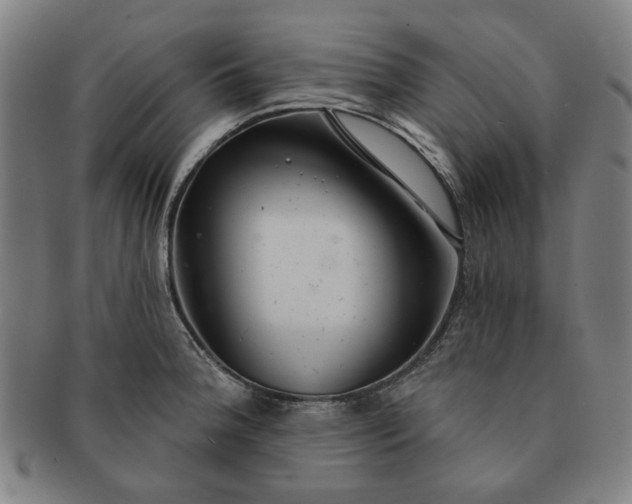 X0000091191188200708231502