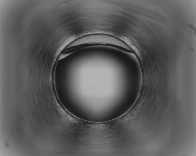 X0000091191189200708231502