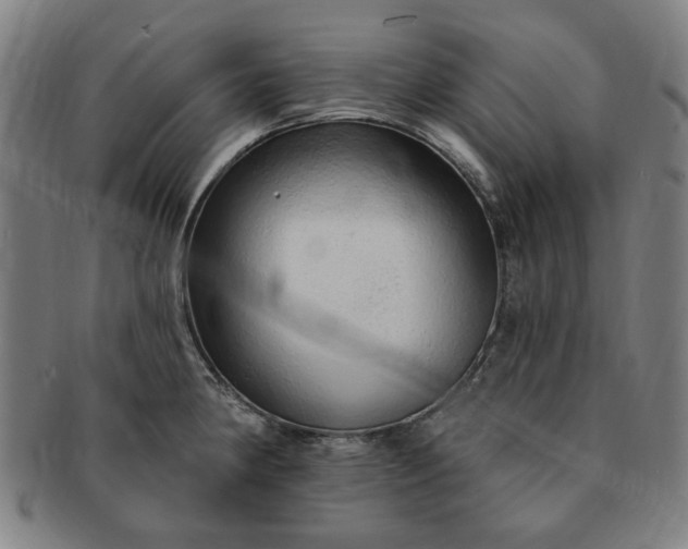 X0000091191190200708231502