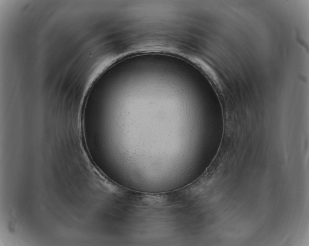 X0000091191191200708231502